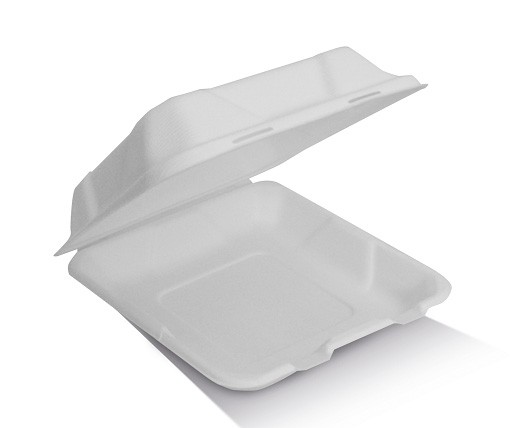 Sugarcane Clamshell Box -  8in 203x203x58mm- White 50x4P