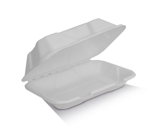Sugarcane Box 9x6x3in/229x152x75mm - White 50x4P