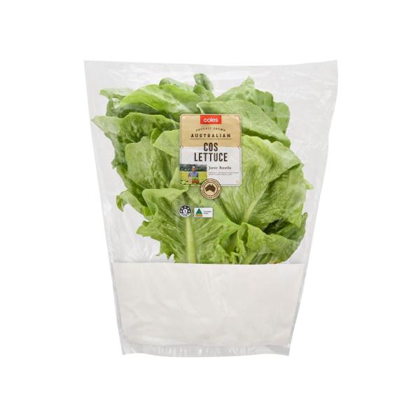 VG- Cos Lettuce box