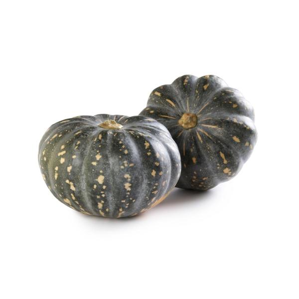 VG- Grey Pumpkin-pcs
