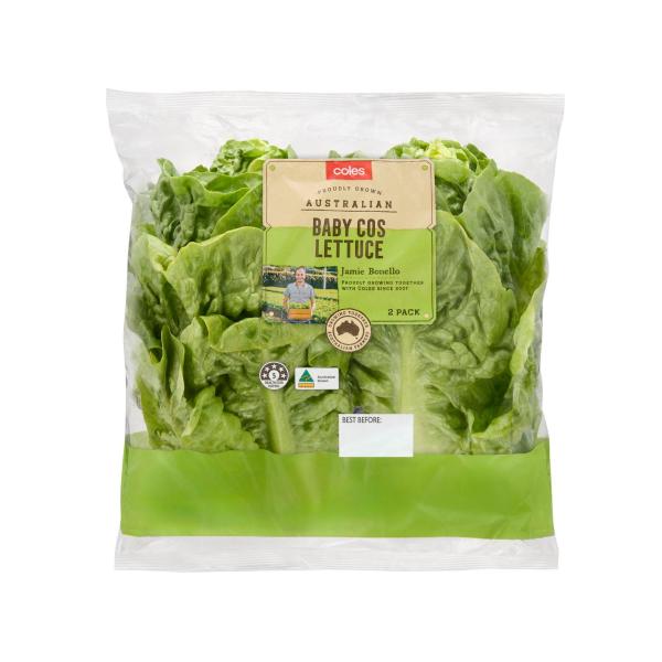 VG-baby cos Lettuce box