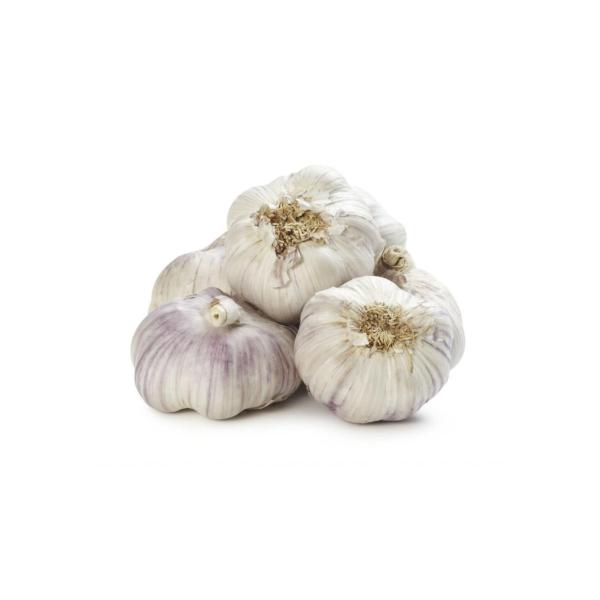 VG-Garlic - Peeled -10kg/box