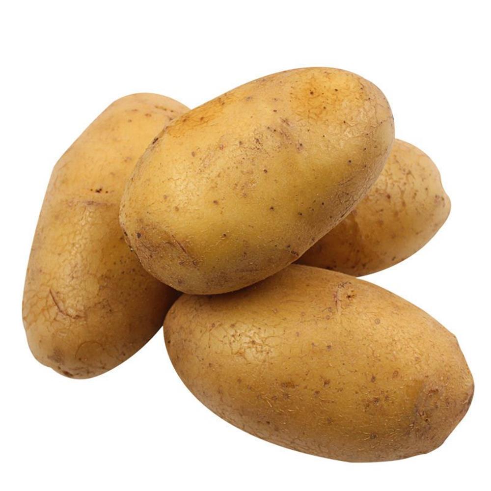 VG-Big potato-white (15kg/bag)